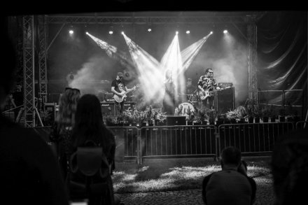 24. Piknik Leśny